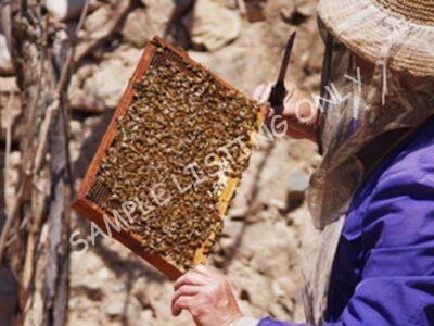 Beekeeper2-1200×600-1-400×300-1
