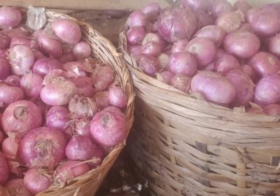 Fresh Ghanaian Onions