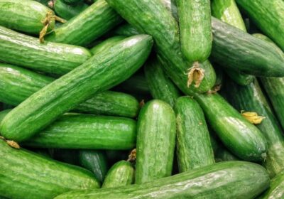 Fresh Ghana Cucumber