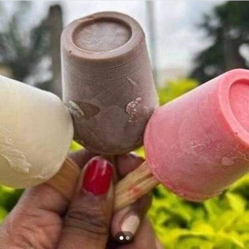 Coconut Ice-cream | Milk Ice-cream