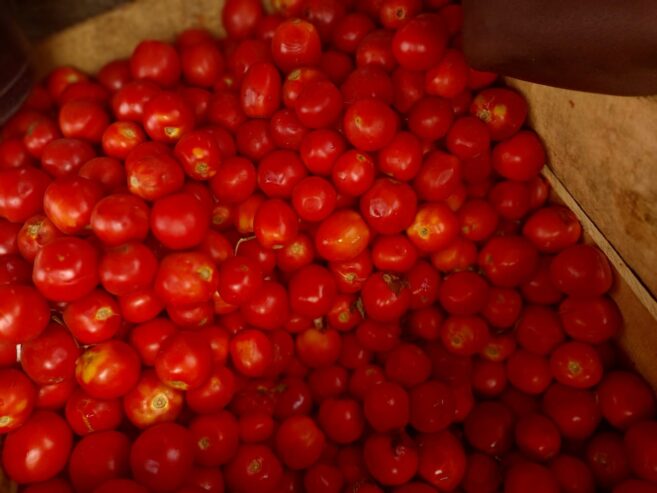 Fresh Ghana Tomatoes