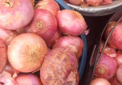 Onions from Ghana